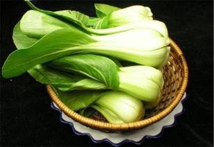 沐阳教育吃瓜,揭秘吃瓜背后的教育现象与启示