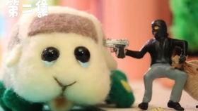 豚鼠吃瓜面吗,探索它们对瓜面的喜爱