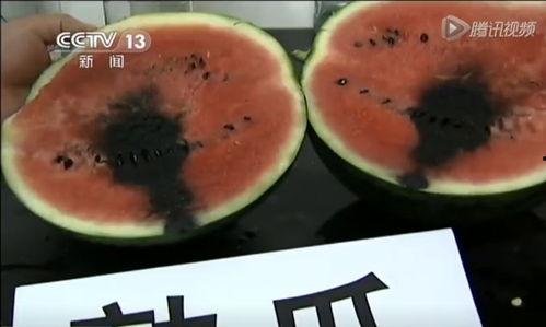 最新恶心吃瓜视频,惊悚揭秘！最新吃瓜视频揭露惊人内幕