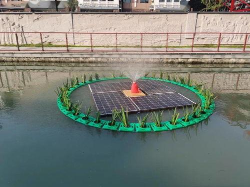 人工喷泉吃瓜,人工喷泉下的夏日吃瓜盛宴