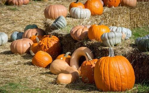 中民投 吃瓜,吃瓜群众眼中的资本风云