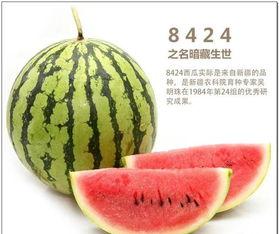 鸿都热吃瓜,揭秘娱乐圈背后的那些事儿