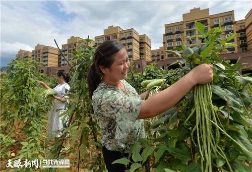 田园吃瓜拍照图片大全,捕捉自然与欢乐的完美融合