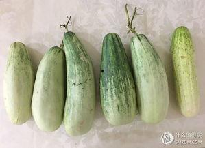 假装拍自己吃瓜,揭秘我那“假装吃瓜”的奇妙之旅