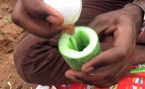 吃哈密瓜工具,探索创意吃瓜工具的乐趣