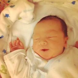 吃瓜小牛,揭秘娱乐圈那些不为人知的幕后故事