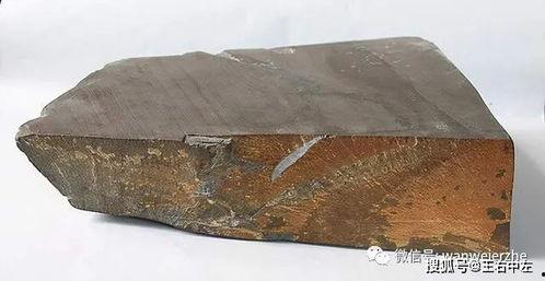 吃瓜岱岱图穷匕见