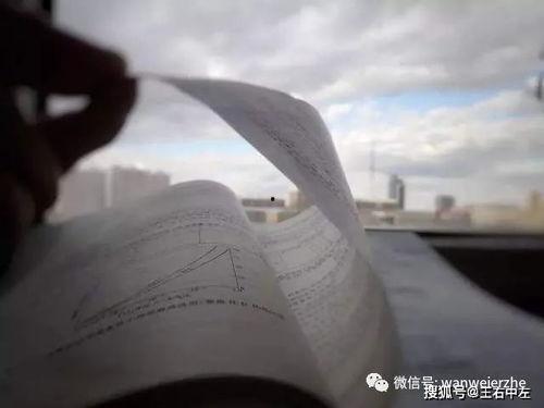 吃瓜岱岱图穷匕见