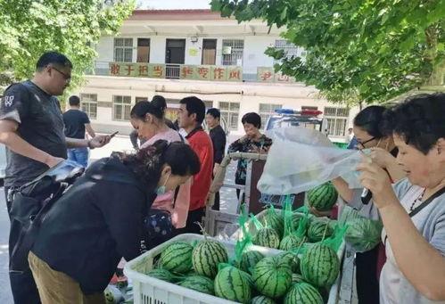 湖南女干部吃瓜,揭秘背后真相与反思