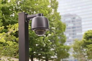 吃瓜网吧摄像头,摄像头下的真实一幕