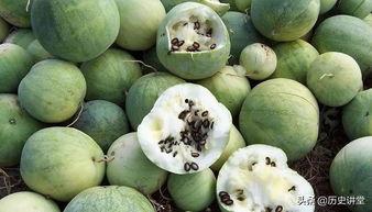 吃瓜客嗑瓜吃,揭秘娱乐圈幕后故事