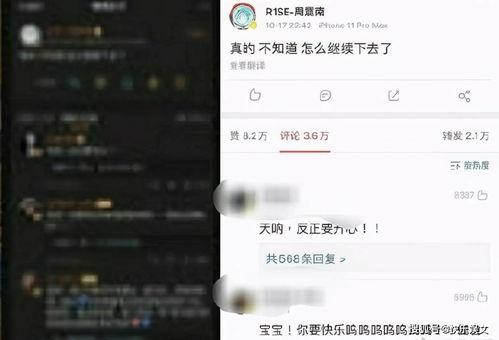 瓜哥带你吃瓜公众号叫啥,揭秘“吃瓜”背后的趣味世界