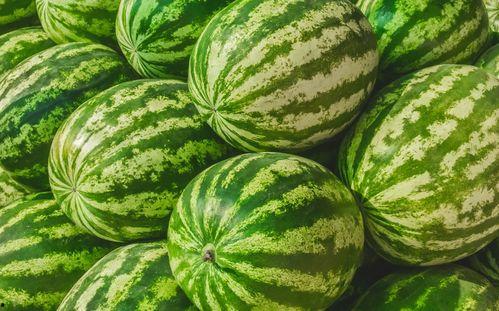 吃瓜手机掉手里,一场意外的“吃瓜”之旅