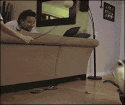 搞笑gif吃瓜群众,吃瓜群众笑翻全场，欢乐瞬间尽收眼底