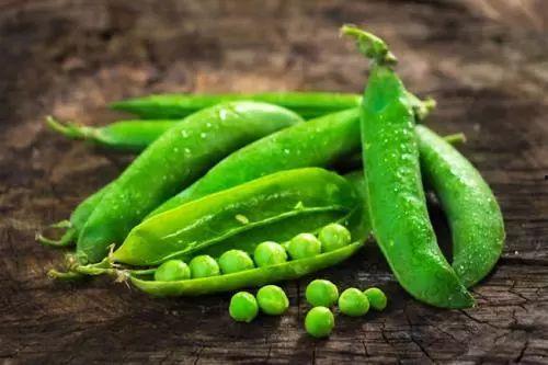 每日吃瓜得豆,揭秘吃瓜得豆的神奇之旅