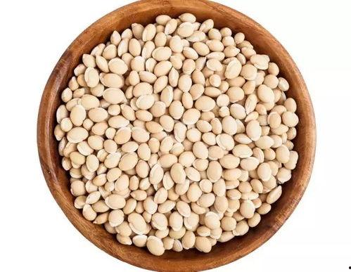 每日吃瓜得豆,揭秘吃瓜得豆的神奇之旅