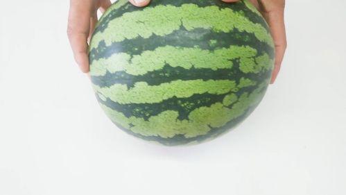 小脆瓜是乳瓜吗怎么吃,乳瓜的别称，美味吃法大揭秘