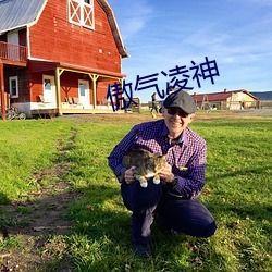 718吃瓜社区,网络舆论场中的“瓜田”盛景