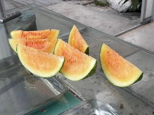 吃瓜尝试,吃瓜群众眼中的明星生活