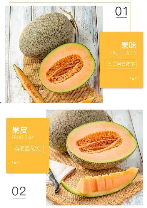 吃蜂蜜蜜瓜,蜂蜜蜜瓜的完美融合之旅
