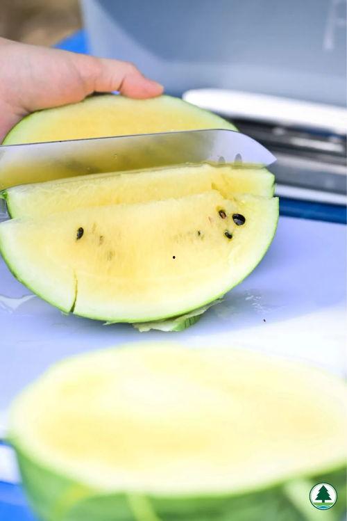 吃瓜泥,揭秘娱乐圈的甜蜜与苦涩