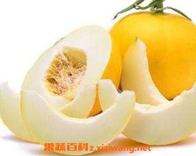 伊丽莎白瓜怎么吃甜,解锁美味甜食新境界