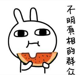 带你吃瓜搞笑工具小孩,小孩带你领略欢乐食光