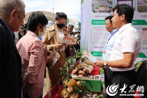 滕州吃瓜新闻,一场引发全民热议的街头事件